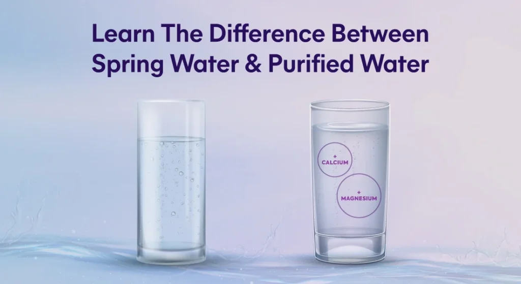 Purified Water vs. Spring Water