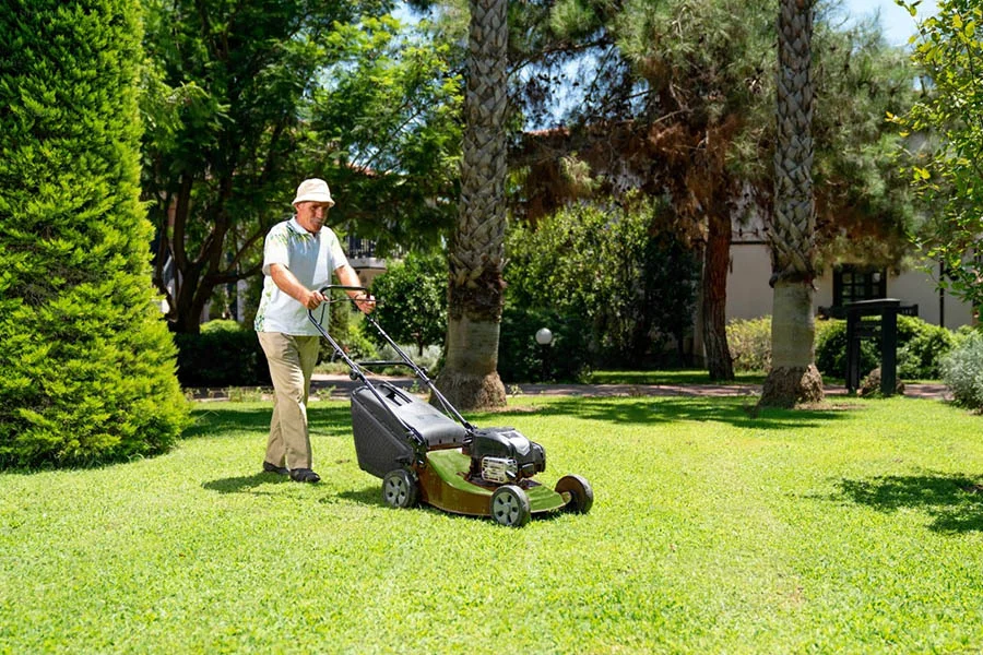 lawn mower for small yard